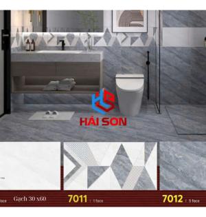 Gạch Phối Cảnh 30 x 60 ( 017)