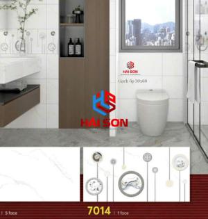 Gạch Phối Cảnh 30 x 60 ( 007)