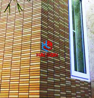 INAX-355/EAC_300 x 300 Gạch ốp tường kiến trúc Nhật 355/EAC-EARTH COLOR BORDER