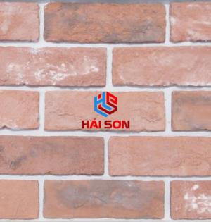 DASDS010327019_GẠCH GIẢ CỔ ỐP TƯỜNG VĨNH CỬU MÀU ĐỎ ĐẬM