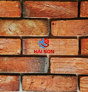 DAAT-C12-65_Gạch cổ đỏ sần Columbus