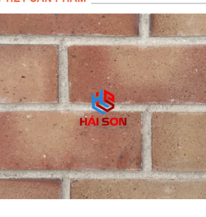 DASGO-81_60x200x20 mm Gốm ốp tường