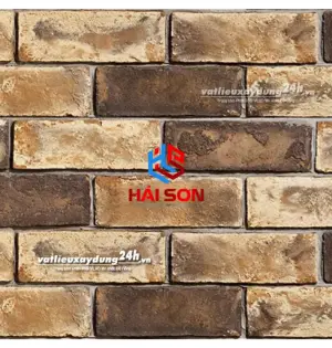 DAS_190 x 60 x 10 mm Gạch Cổ Vàng Đất Vĩnh Cửu