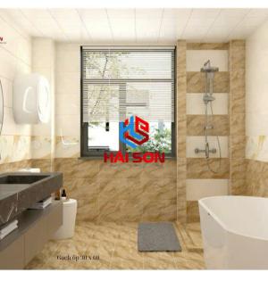 Gạch Phối Cảnh 30 x 60 ( 003)