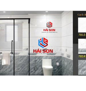 Gạch Phối cảnh 40 x 80 (013)