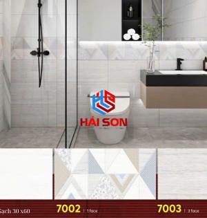 Gạch Phối Cảnh 30 x 60 ( 015)