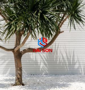 VNE_ 150 x 500 Bộ Gạch Việt Nhật E