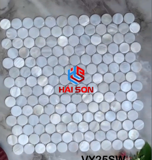 VTPVY25SW_304mm x 304mm Gạch Mosaic Khảm Trai Cao Cấp