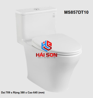 TOTO Bồn cầu một khối có nắp và bệ ngồi đóng êm TC395VS MS857DT10