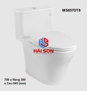 TOTO Bồn cầu một khối có nắp và bệ ngồi đóng êm TC600VS MS857DT8