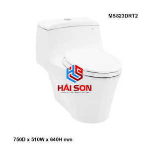 TOTO Bàn cầu một khối kèm nắp đóng êm TC393VS MS823DRT2