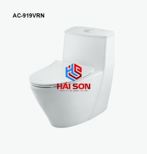 INAX Bồn cầu 1 khối AC-919VRN