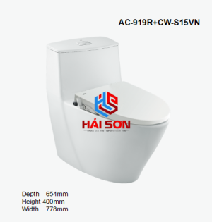INAX Bồn cầu 1 khối kết hợp nắp rửa cơ AC-919R+CW-S15VN