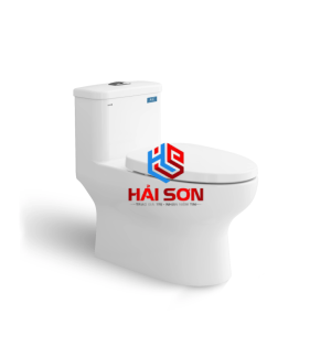 VIGLACERA Bàn cầu một khối Viglacera Sanfi S309