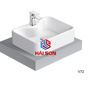 VIGLA Chậu bán dương bàn V72