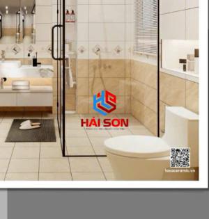 Gạch Phối Cảnh 30 x 60 ( 006)