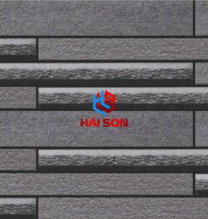 VN443_Gạch Trang Trí Men Mờ 25 x 50