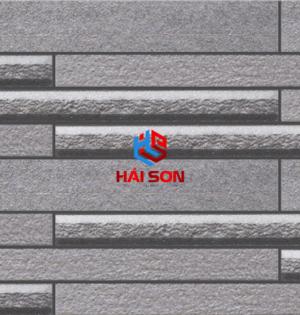 VN445_Gạch Trang Trí Men Mờ 25 x 50