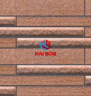 VN446_Gạch Trang Trí Men Mờ 25 x 50