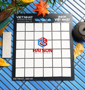 VN4801M_ 306 x 306Gạch Trang Trí Mosiac