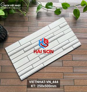VN444_Gạch Trang Trí Men Mờ 25 x 50