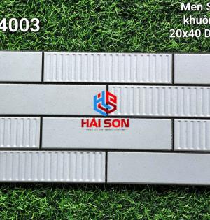 VNDP24003_Gạch Trang Trí Men Sugar - Khuôn Nổi 20*40cm