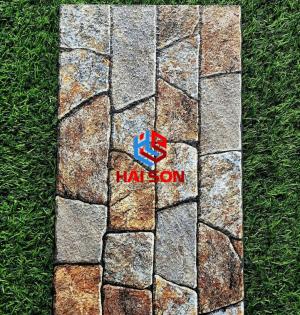 VNGD2509_Gạch Trang Trí Men Sugar - Khuôn Nổi 25*50cm