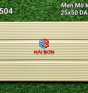 VNGD2504_Gạch Trang Trí Men Mờ Khuôn 25*50cm