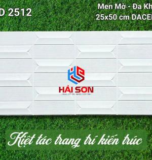 VNGD2512_Gạch Trang Trí Men Mờ Đa Khối 25*50cm