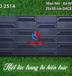 VNGD2514_Gạch Trang Trí Men Mờ Đa Khối 25*50cm