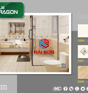 TA2886_300*600 Gạch Ốp Tường Ceramic