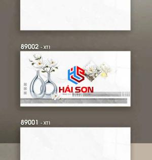 PETO89001_300*600 Gạch Ốp Tường Ceramic