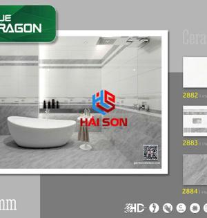 TA2882_300*600 Gạch Ốp Tường Ceramic