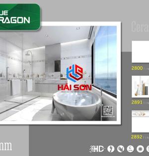 TA2800_300*600 Gạch Ốp Tường Ceramic