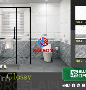 TA7813_300*600 Gạch Ốp Tường Ceramic