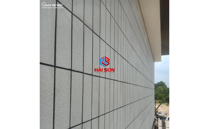 VNSHC_7241_ 220 x 400 Bộ Gạch Vỉ Việt Nhật SHC