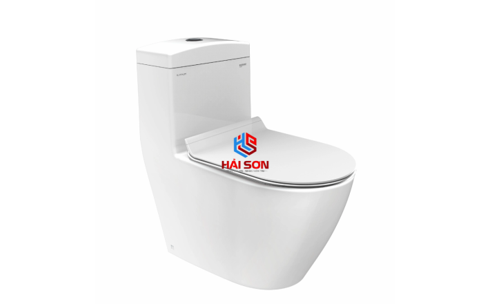 VIGLACERA Bàn cầu liền khối Platinum P.11.350