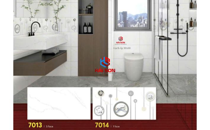 Gạch Phối Cảnh 30 x 60 ( 007)