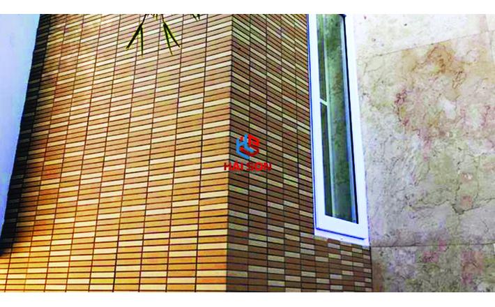 INAX-355/EAC_300 x 300 Gạch ốp tường kiến trúc Nhật 355/EAC-EARTH COLOR BORDER