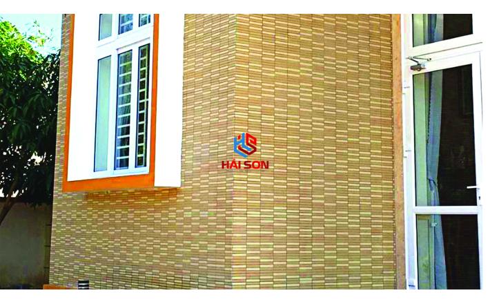INAX-355/EAC_300 x 300 Gạch ốp tường kiến trúc Nhật 355/EAC-EARTH COLOR BORDER
