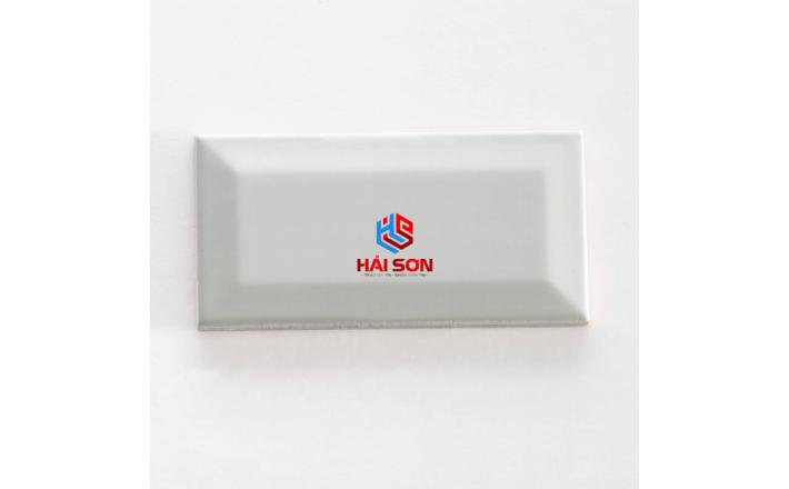 DASMGEC5B_100*200mm Gạch Thẻ Vát Bóng Xám Nhạt