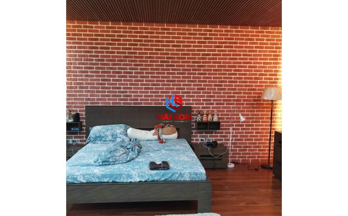 DAS_210x60x10mm Gạch Giả Cổ Đỏ Đô