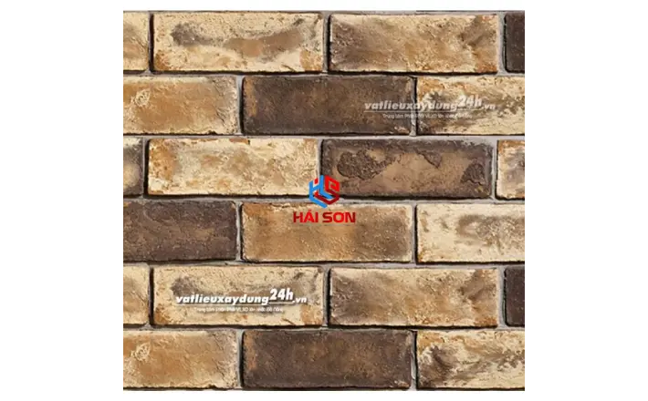DAS_190 x 60 x 10 mm Gạch Cổ Vàng Đất Vĩnh Cửu