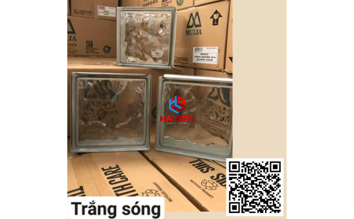 DASGKLS_19x19x8cm Gạch Kính Lấy Sáng Indonesia