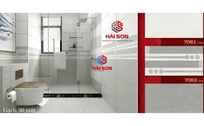Gạch Phối Cảnh 30 x 60 ( 025)