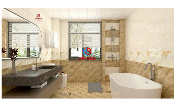 Gạch Phối Cảnh 30 x 60 ( 003)