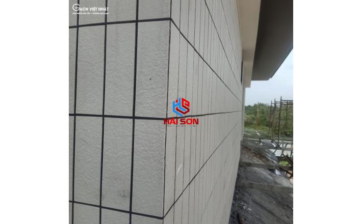 VNSHC_ 220 x 400 Bộ Gạch Vỉ Việt Nhật SHC