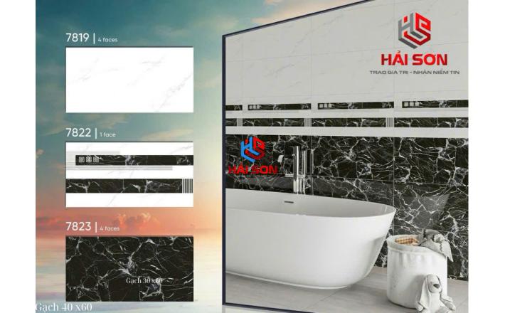 Gạch Phối cảnh 40 x 80 (039)