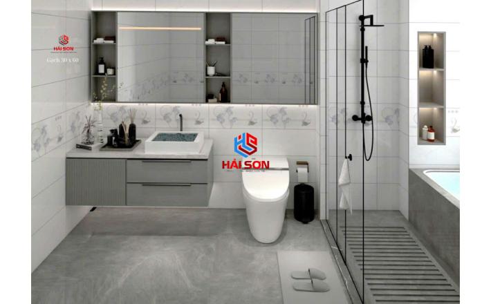 Gạch Phối Cảnh 30 x 60 ( 008)