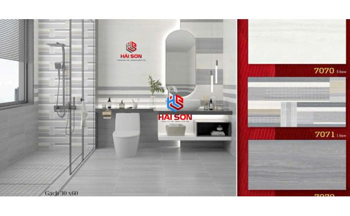 Gạch Phối Cảnh 30 x 60 ( 023)